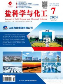 盐科学与化工杂志